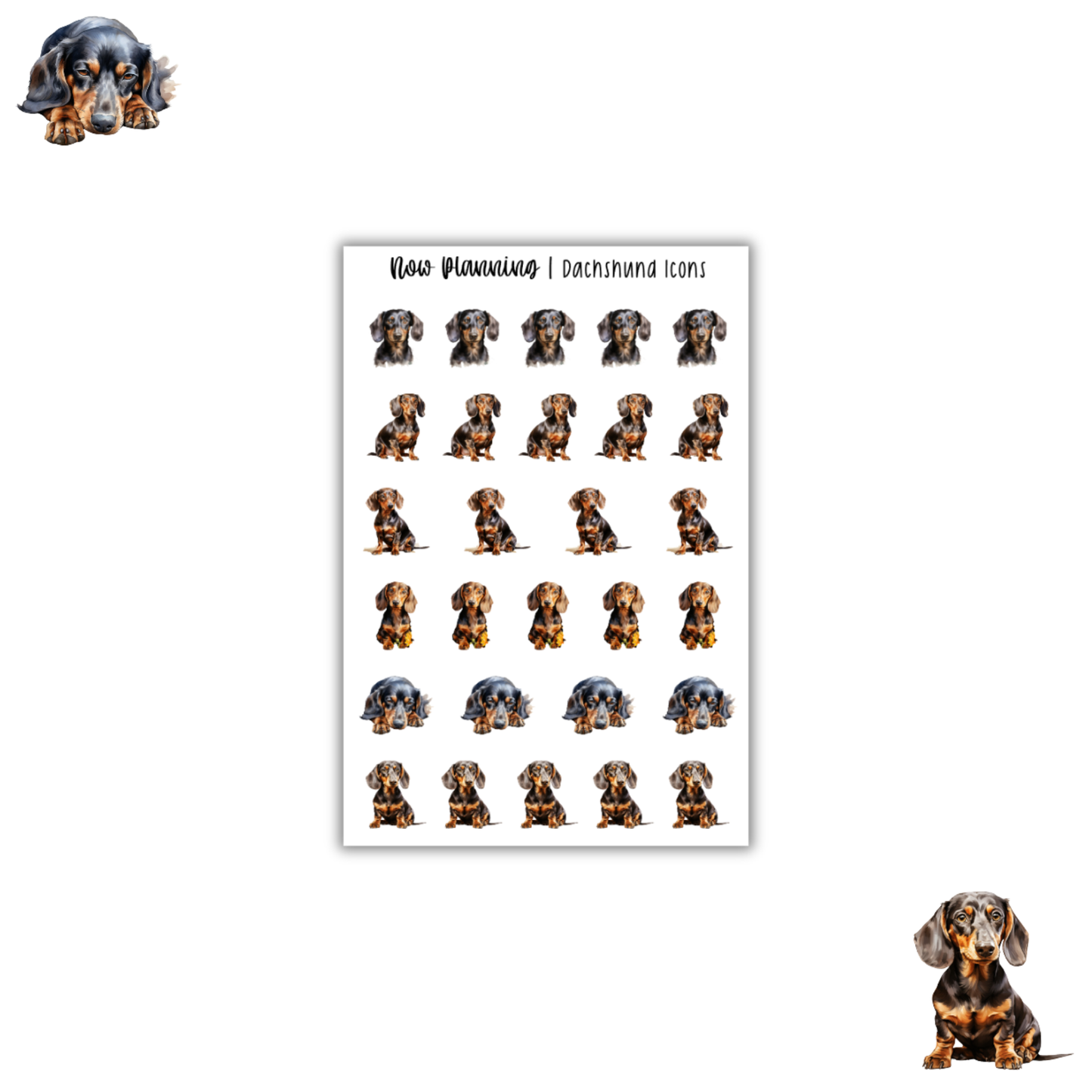 Dachshund Sticker Sheet | Pet Stickers | Journal Stickers, Planner Stickers, Scrapbook Stickers