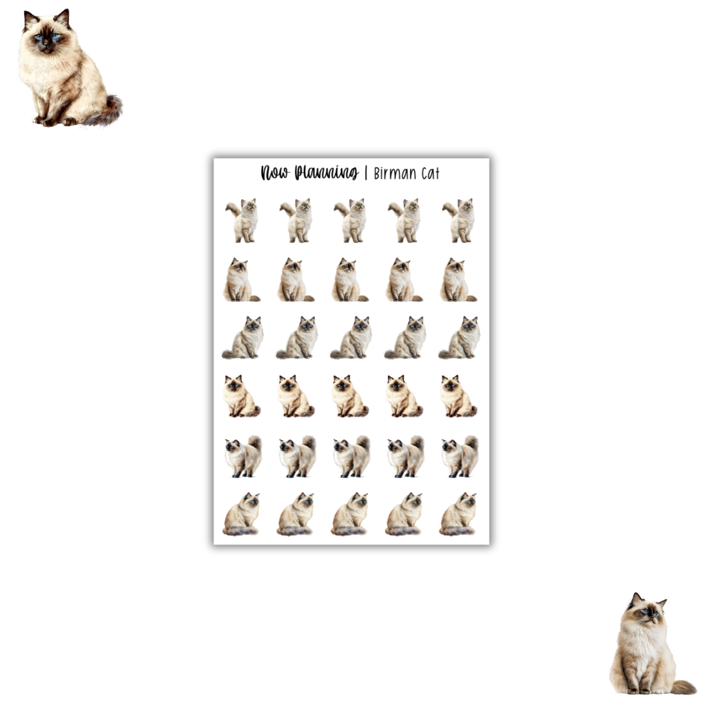 Birman Cat Sticker Sheet |  Pet Stickers |  Journal Stickers, Planner Stickers, Scrapbook Stickers