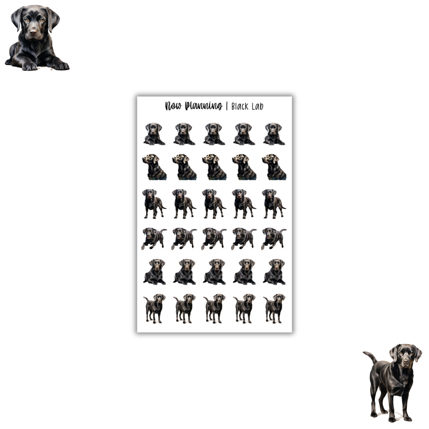 Black Lab Sticker Sheet |  Pet Stickers |  Journal Stickers, Planner Stickers, Scrapbook Stickers
