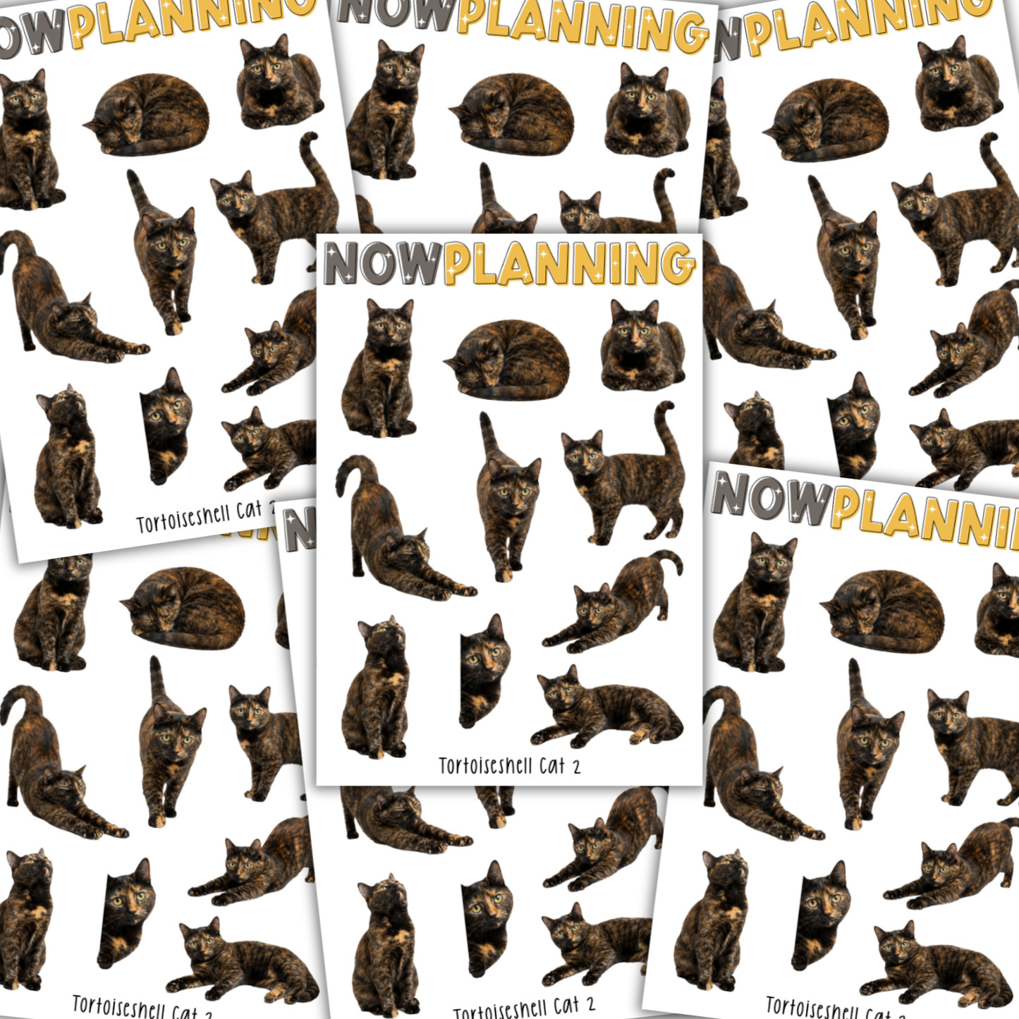 Tortoiseshell Cat 2 Sticker Sheet |  Pet Stickers |  Journal Stickers, Planner Stickers, Scrapbook Stickers