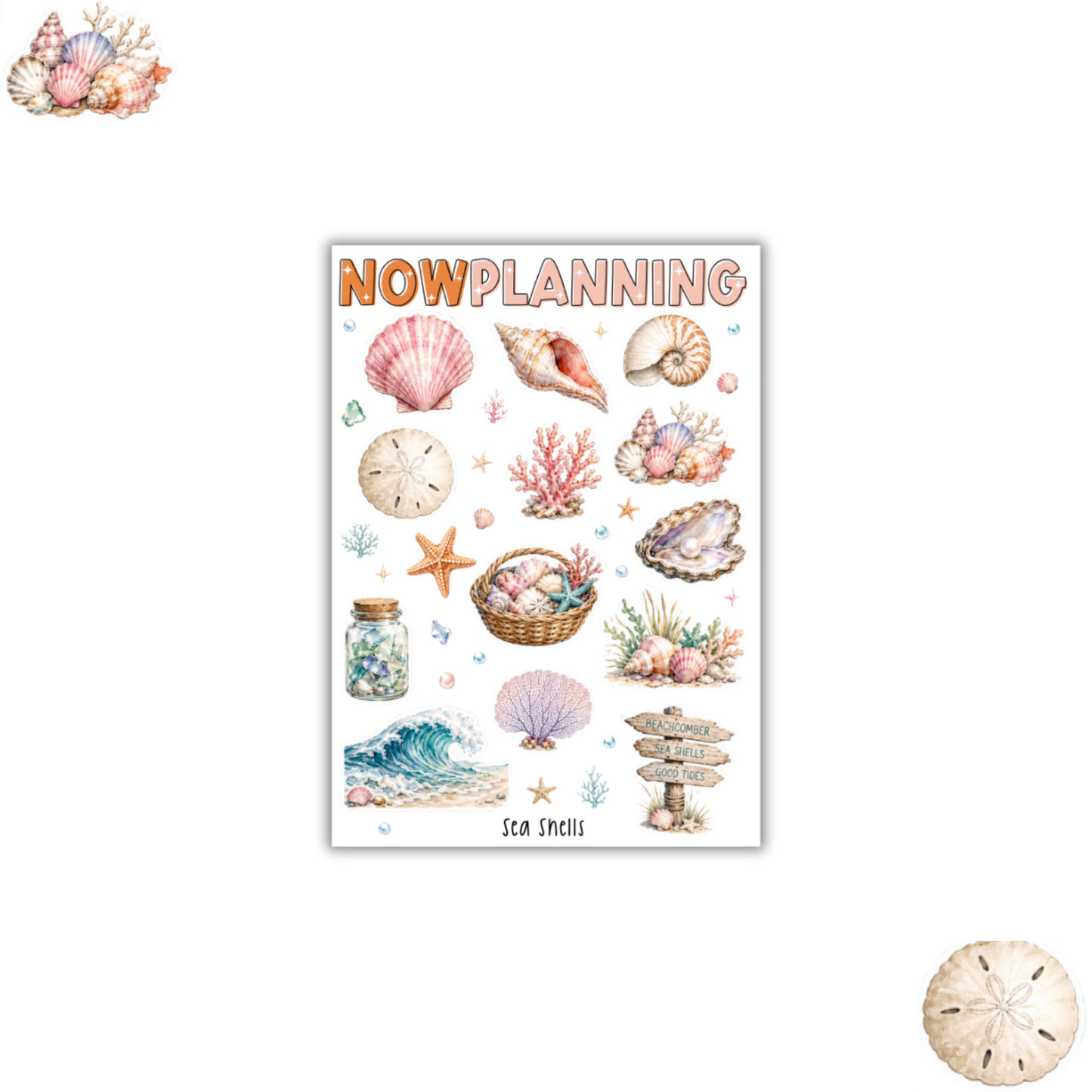 Sea Shells Sticker Sheet |  Summer Stickers | Journal Stickers, Planner Stickers, Scrapbook Stickers